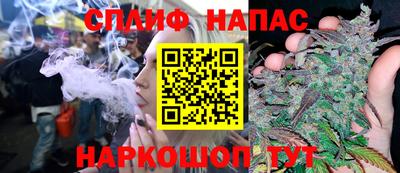 МДПВ Пушкино
