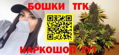 МДПВ Пушкино