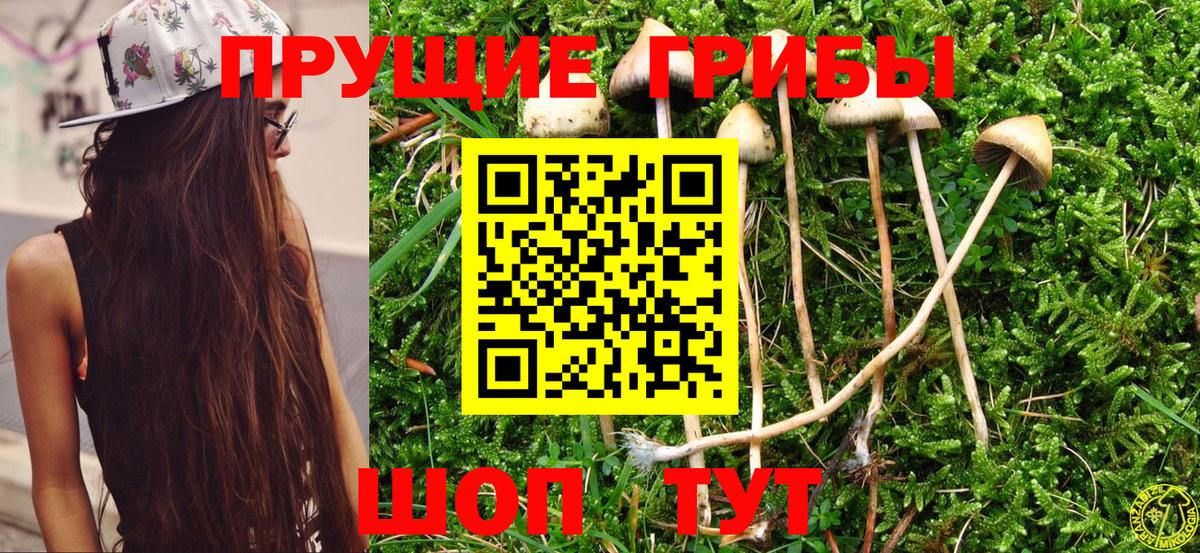Октябрьский  Галлюциногенные грибы Magic Shrooms  Вход с VPN 