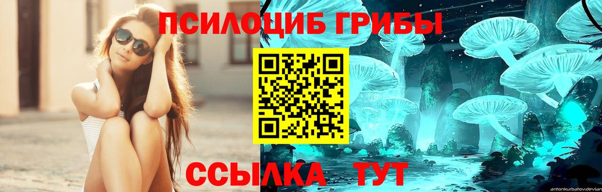 Псилоцибиновые грибы GOLDEN TEACHER Октябрьский